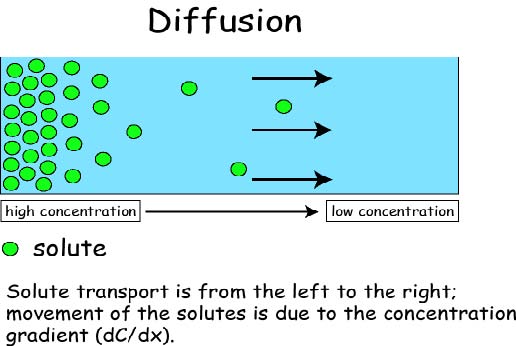 Diffusion is the movement of particles from high concentration to low concentration with the concentration gradient.