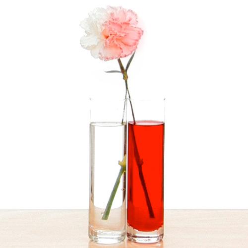 The water from each glass is carried from the stem of the flower to the flower by diffusion turning half of the flower red