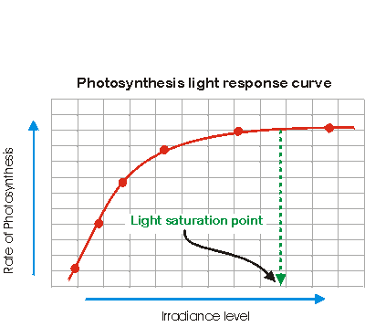 Graph of the photosynthesis light response curve and light saturation in photosynthesis